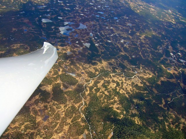 Gull og gr�nne skoger?